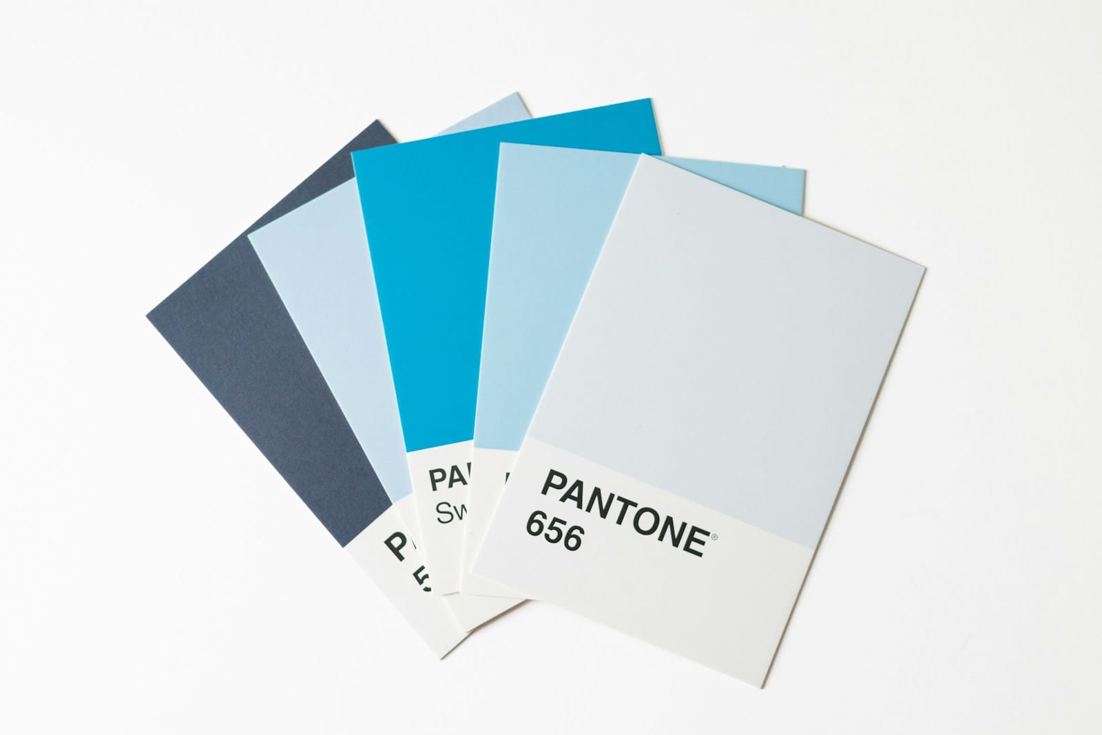 How to Create a Brand Style Guide for Content Creators: Logo, Color, and Typography Rules 9 Color swatches and palette for brand style guide