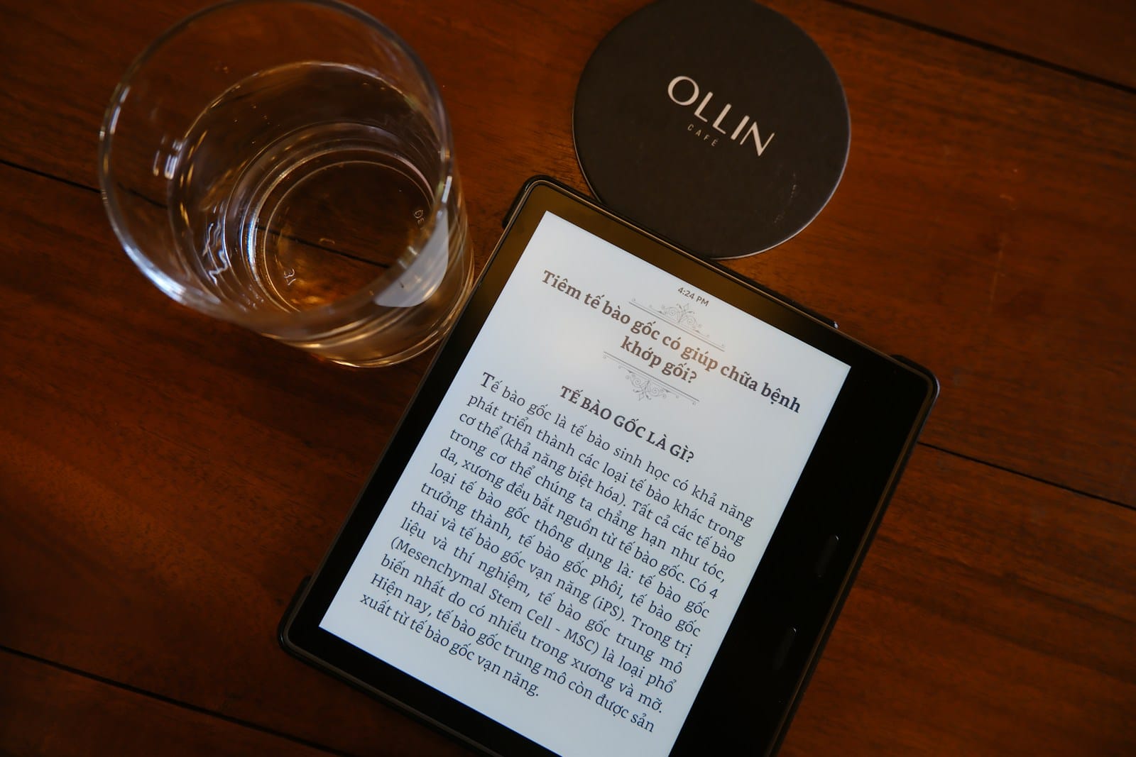 Hisense A10 E Ink Phone, Buyer Guide (Detachable LCD Screen, Use Cases, Comparison) 10 E Ink e-reader displaying text on its monochrome screen, similar to Hisense A10 reading mode
